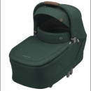TWILLIC GREEN (BROWN LEATHER)