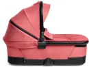 Pure Pink