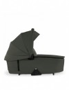 Dark Olive
