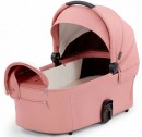 Ash Pink