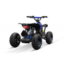 quad-eco-avenger-1200w-48v-4.jpg