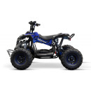 quad-eco-avenger-1200w-48v-6.jpg