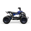 quad-eco-avenger-1200w-48v-7.jpg