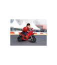 3880-thickbox_default.jpg
