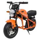 PA.WH8899.POM