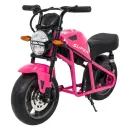 PA.WH8899.ROZ