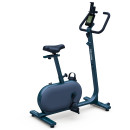 BLUEBERRY GREEN 06190
