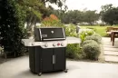 003883_4_5596.webp