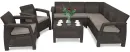 Brown 006067