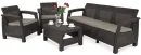 Brown 006068