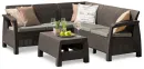 Brown 006051