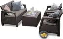 Brown006062