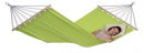 AZ-1075000 Kiwi