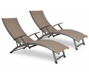 Taupe 002384