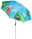 Flamingo 003898