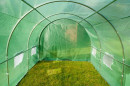 Zielony-tunel-foliowy-z-metalowym-stelazem-3x8m-Garden-Point-46159.jpeg