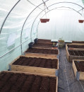 Zielony-tunel-foliowy-z-metalowym-stelazem-3x8m-Garden-Point-91300.jpeg