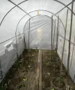 Tunel-foliowy-2x3m-bialy-zdjecie-od-klienta-85670-400x480-nobckgr.webp