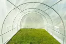 Bialy-tunel-foliowy-3x10m-Garden-Point-142293-480x319-nobckgr.webp
