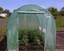 Namiot-foliowy-na-pomidory-2-5x4m-91295-480x385-nobckgr.webp