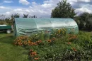 Tunele-foliowe-Tunel-foliowy-z-metalowym-stelazem-3-x-6-m-Garden-Point-w-letnim-ogrodzie-121345-480x321-nobck.webp