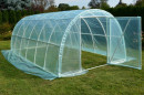 Tunel-foliowy-Lemar-Aw6-PCV-Foliak-3x6m-224370.jpg