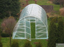 Tunel-foliowy-LEM--1.jpg