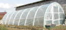 Tunel-foliowy-LEM-Aw8-.jpg