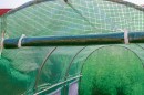 pol_pl_Tunel-Foliowy-ZIELONY-z-oknami-8m2-400-200-200-3924_8.jpg
