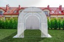 pol_pl_Tunel-foliowy-Bialy-z-oknami-10m2-400-250-200-1560_5.jpg