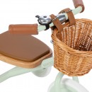 SSSRSRyeRRSSGRRyoR-Banwood-Trike-mint.jpg