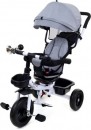 pol_pm_Rowerek-trojkolowy-dla-dzieci-FUNFIT-KIDS-TWIST-2676_1.jpg