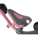 pol_pl_Rowerek-LEARNING-BIKE-3w1-DELUXE-639-211-16683_16.jpg