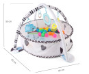 TinyMini-JL626-2D-Mata-edukacyjna-2w1-Basen-z-Pilkami_15181_1200.jpg