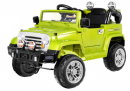  RAMIZ JJ245 6v  Green