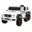 PA.G63.BIA white