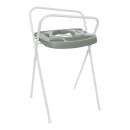 Breeze Green 220530