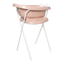 Pale Pink 426009