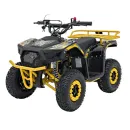 PSP.ATV-13A.ZOL