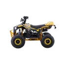 pojazd-quad-spalinowy-110cc--1.webp