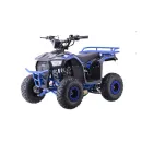 PSP.ATV009.6.NIE