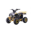 
PSP.ATV009.6.ZOL