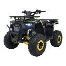 PSP.ATV009.8.ZOL