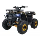 PSP.ATV009.8.POM
