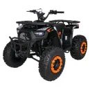 PSP.ATV013.POM