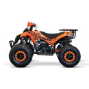warrior-125-cc-pol-automat-ko-4.jpg