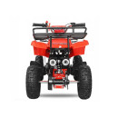 torino-50cc-quad-spalinowy-dla-dziecka-5.jpg