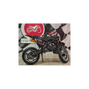 apollo-50cc-mini-cross-10-5.jpg