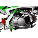 dorado-110cc-automat-pit-bike-cross-1010-8.jpg