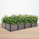 visualization_of_a_cultivation_box_with_flowers_35e1-v-RyeRRSS.webp